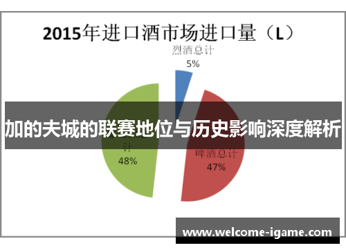 加的夫城的联赛地位与历史影响深度解析 加的夫城的联赛地位与历史影响深度解析