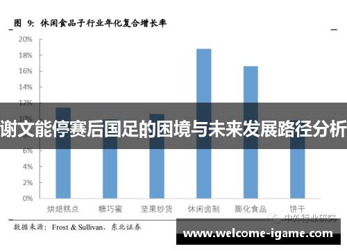 谢文能停赛后国足的困境与未来发展路径分析