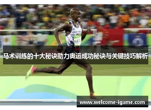 马术训练的十大秘诀助力奥运成功秘诀与关键技巧解析
