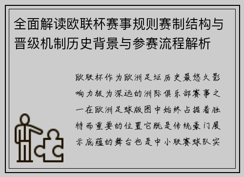 全面解读欧联杯赛事规则赛制结构与晋级机制历史背景与参赛流程解析
